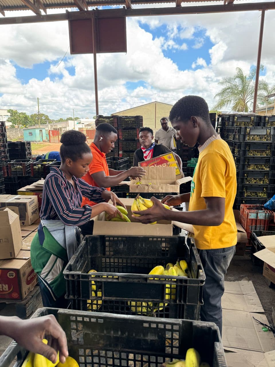 Grace and Wisdom packing bananas at FruitDirect